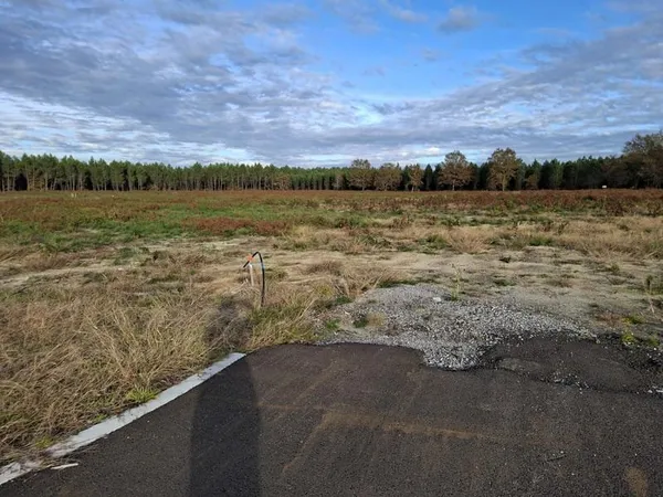 TERRAIN A LALUQUE