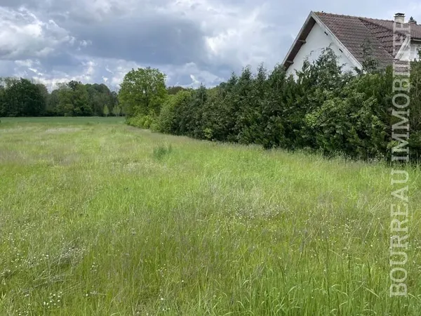 Terrain Vente Champlay  735m² 28000€