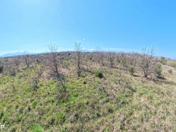 Terrain proche des habitations