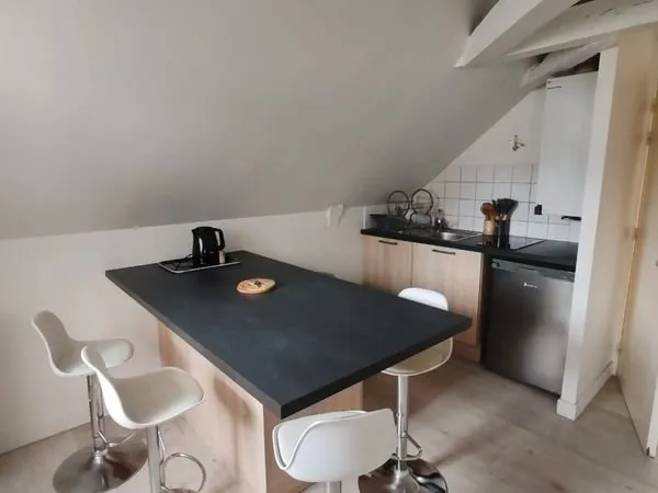 Grand studio 42 m² au sol - Cuisine équipée, coin nuit et bureau