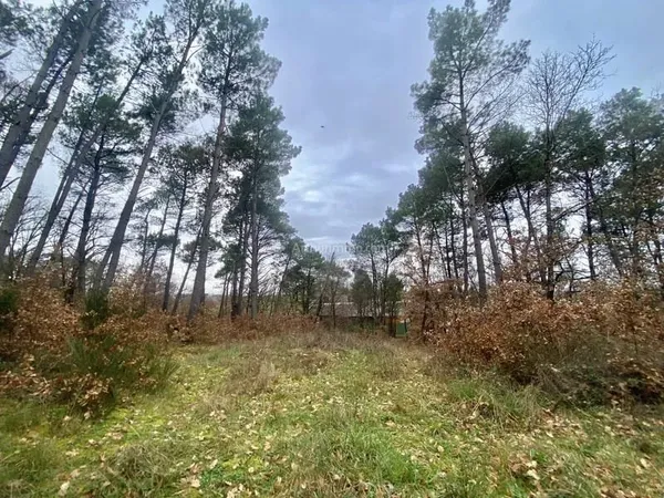 Terrain à bâtir