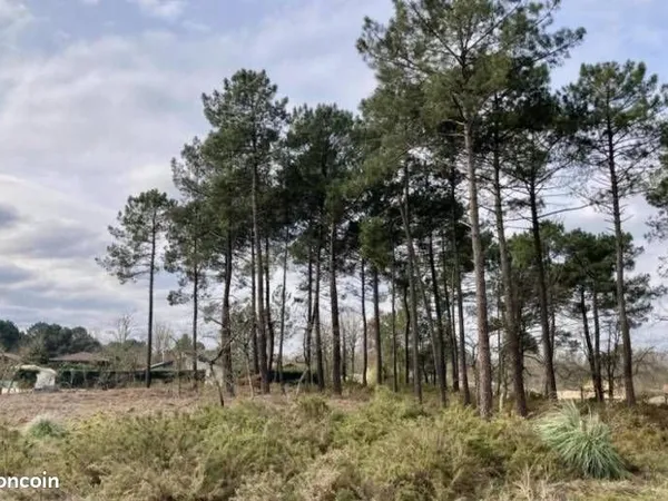 Terrain 600 m² Brach