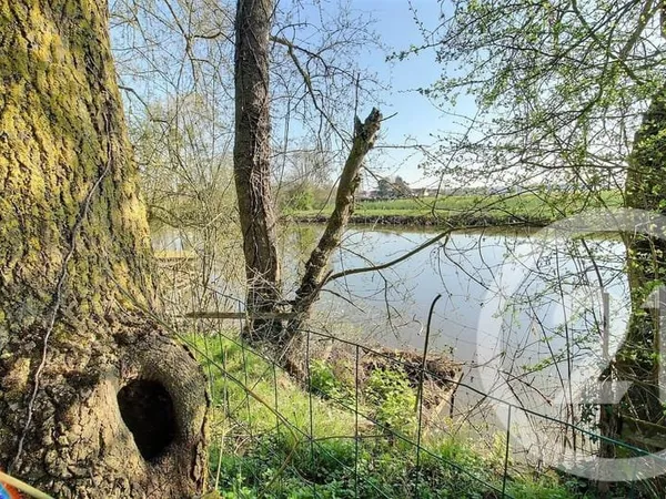 Terrain 6482 m²