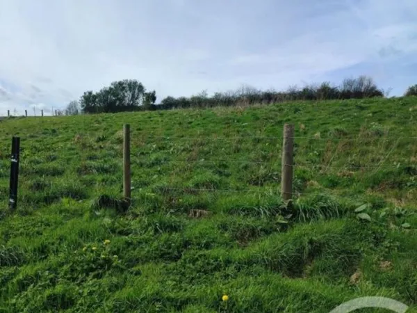 Terrain à bâtir Vente Gouy-Saint-André  1387m² 24000€