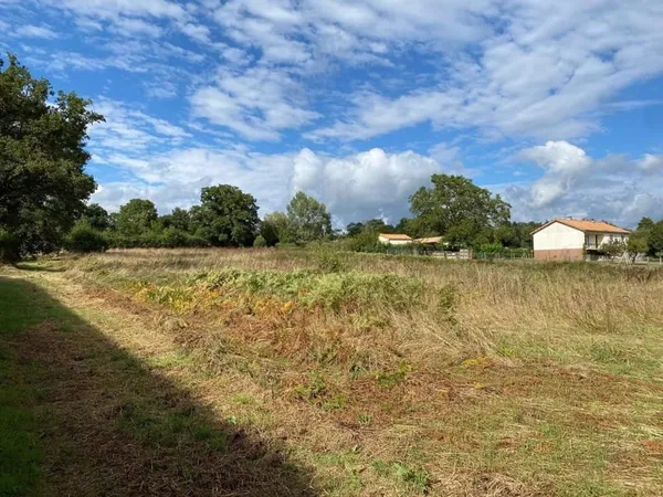Terrain 7119 m²