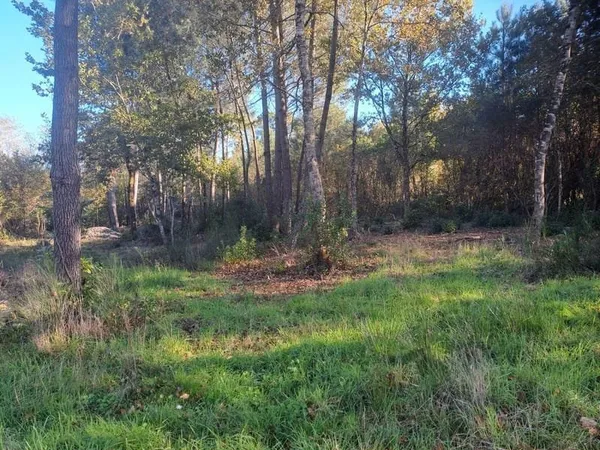 TERRAIN CONSTRUCTIBLE ST SAUVEUR 1080 m2 ET TERRAIN FORESTIER