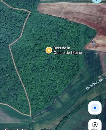 Foret / bois 18,80 ha