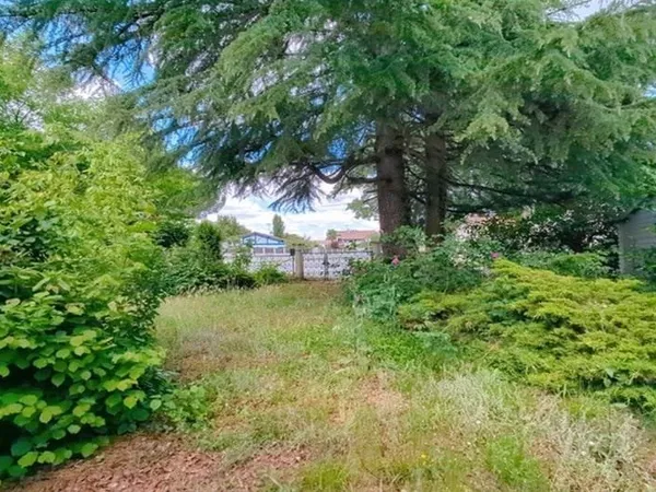 Terrain 976 m²