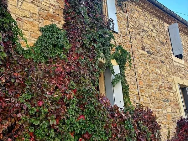 Tres belle & spacieuse maison avec terrasse dans un village viticole animé