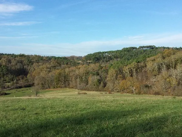 Terrain en individuel 2808 m²