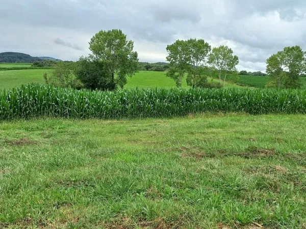 Terrain constructible