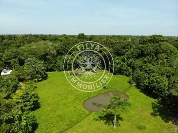 Terrain 5000 m²