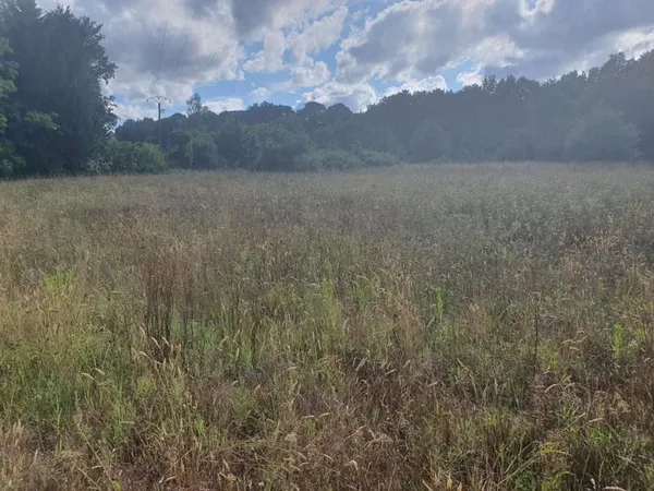 Terrain + maison Vente Carignan-de-Bordeaux  700m² 325000€