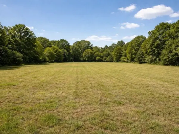 Terrain 850 m²