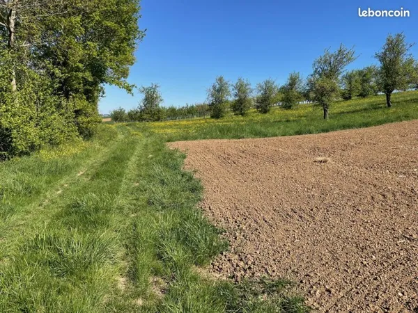 Terrain de 12 ares à bâtir sur la Commune de Westhouse - Marmoutier