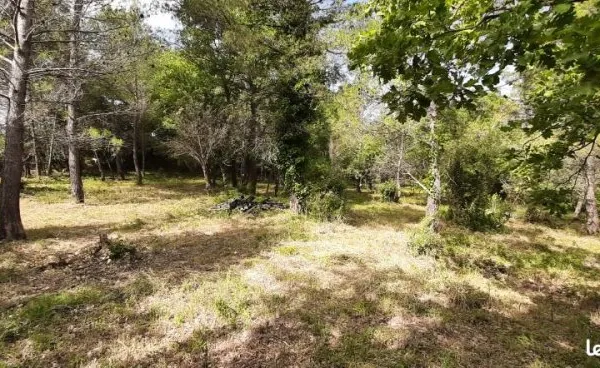 Terrain 1 003 m² Flayosc