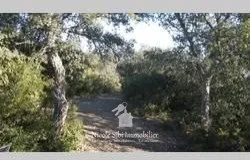 Vente terrain