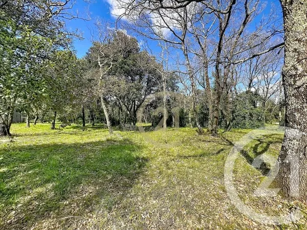 Terrain 1770 m²