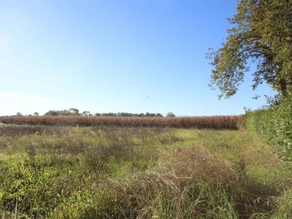 Terrain 1528 m²