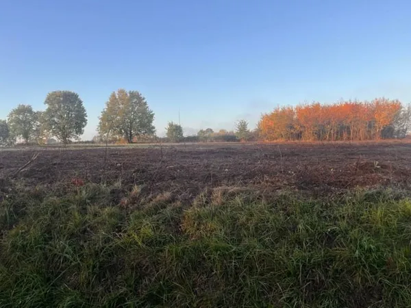 Terrain à bâtir à Targon (33760)
