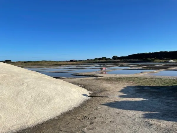 GUERANDE - DANS UN VILLAGE DE PALUDIER : BELLE NEO-BRETONNE ATYPIQUE AVEC BEAUCOUP DE CARACTERE - JA