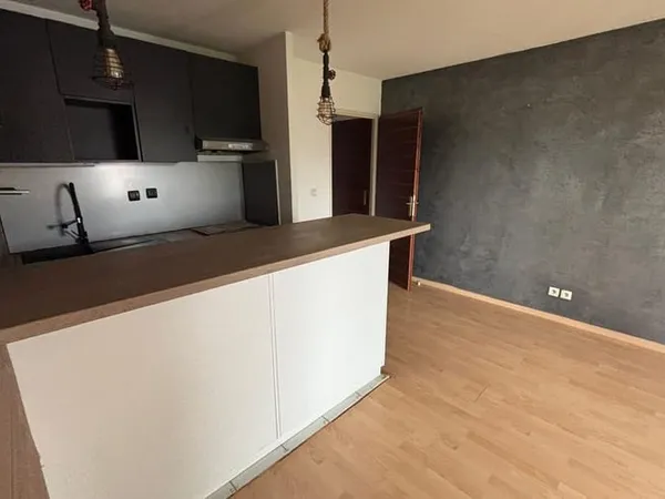 Appartement 1 pièce 40 m²