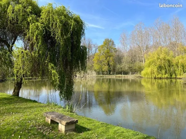 Superbe étang