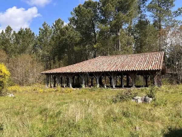 Maison landaise et bergerie authentique