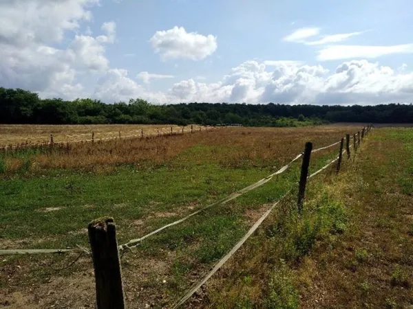 Terre agricole