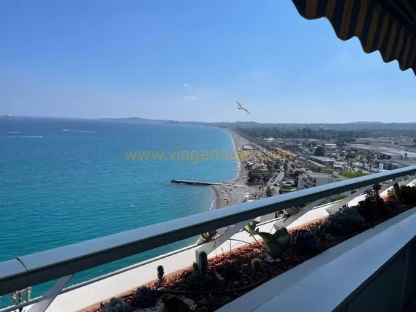 Ref 9870.L - VIAGER OCCUPE SANS RENTE - VILLENEUVE-LOUBET MARINA BAIE DES ANGES