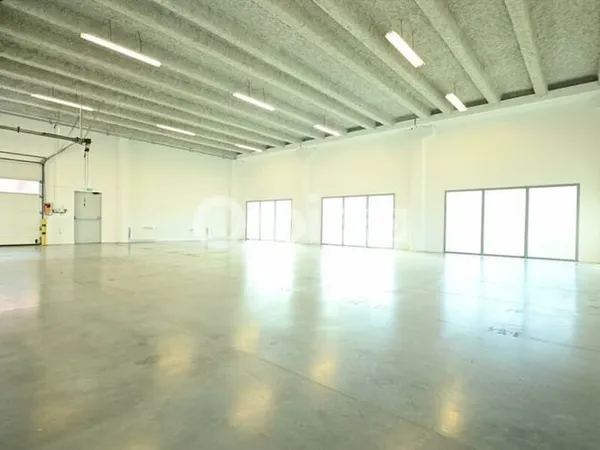 Local d'activité 229 m²