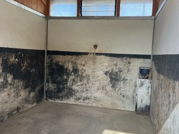 Boxe de stockage