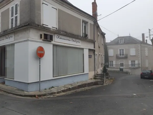 Bien immobilier de rendement Vente Châtillon-sur-Indre   108600€