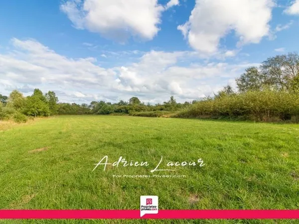 Terrain Pruniers En Sologne 5122 m2