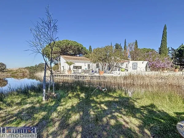 Charme camarguais et art de vivre : mas rénové avec gîtes et installations équestres sur 7 hectares