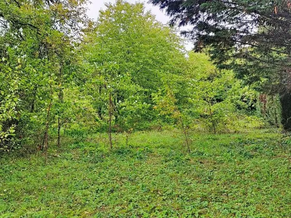 Terrain de 16,5 ares