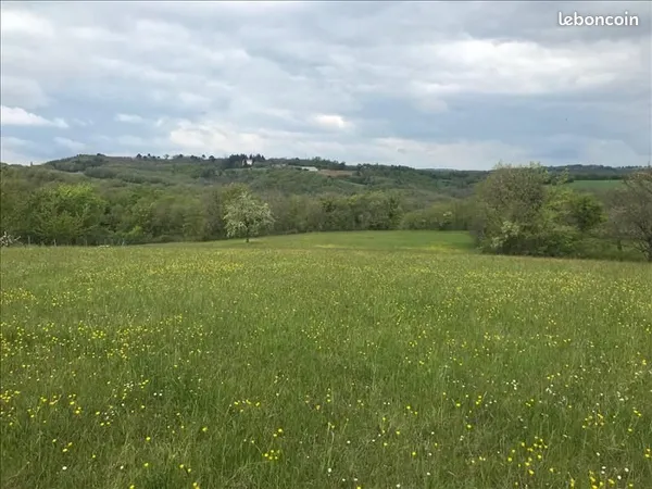 Terrain 7 035 m² Saint Cirq Souillaguet