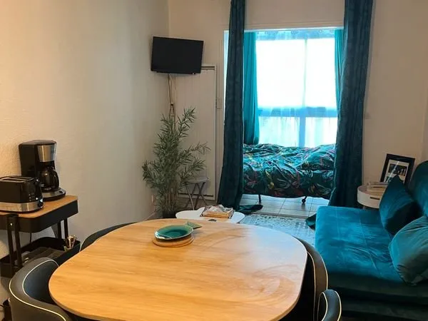 Studio a vendre