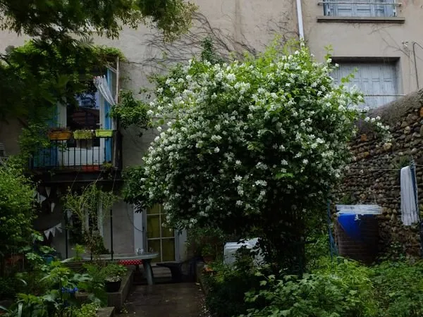 Chambre dans coloc' en ville