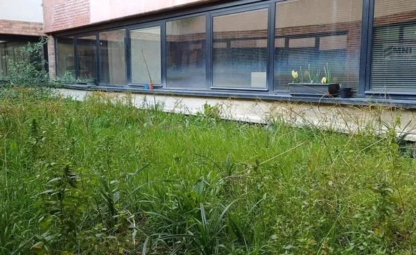 Bureaux 303 m²