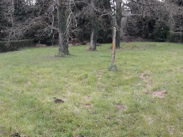 Terrain constructible