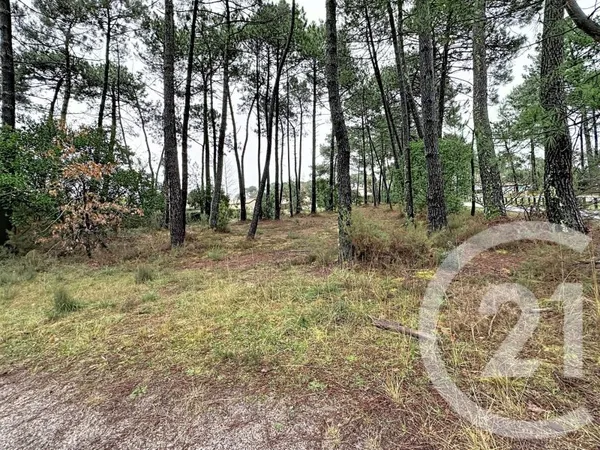Terrain 3796 m²