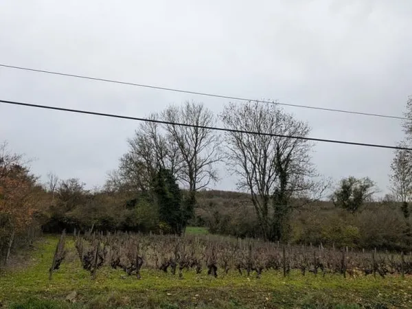 Terrain à vendre Chassey-le-Camp