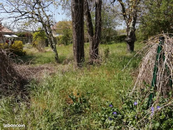 Terrain à bâtir 493 M² à Ruelle sur Touvre