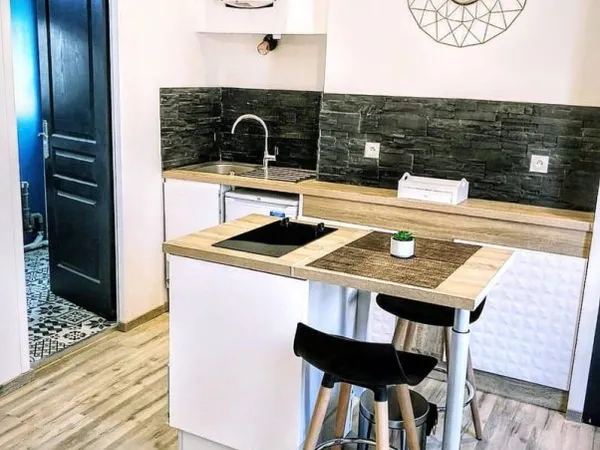 Appartement 1 pièce 20 m²