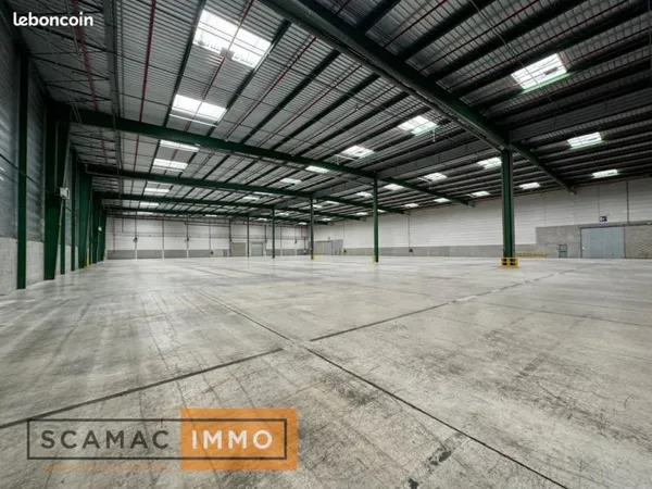 Local industriel 5 991 m²
