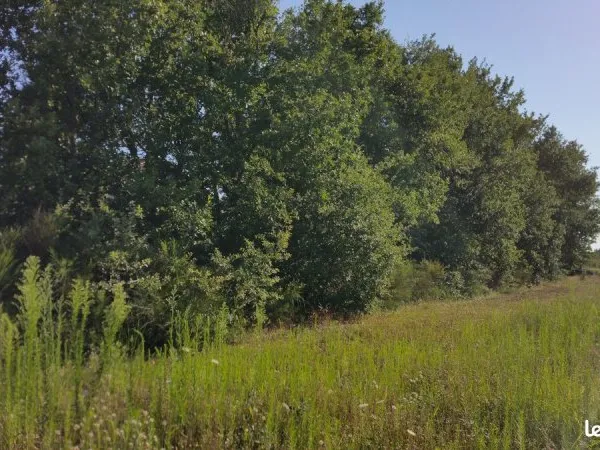 Terrain constructible avec permis sur la commune de Grisolles