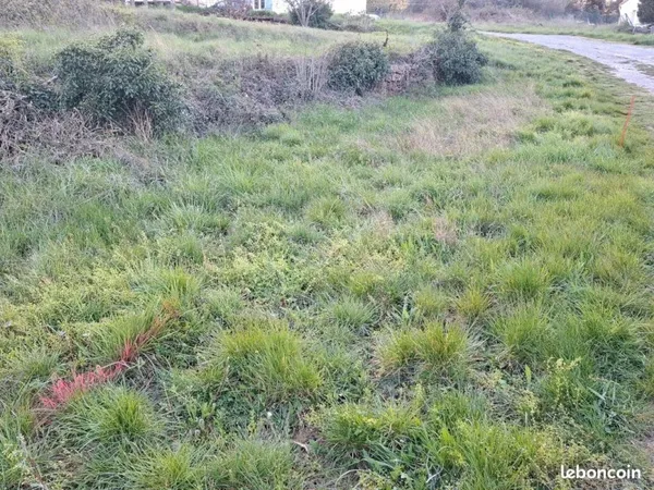 Terrain constructible