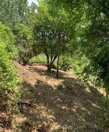 Micro terrains Nature