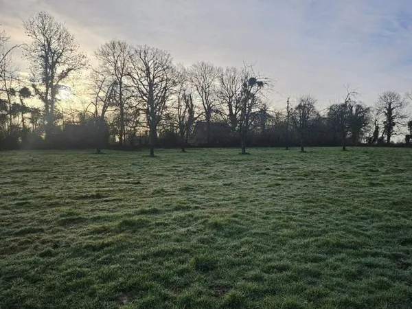 Terrain 2029 m²